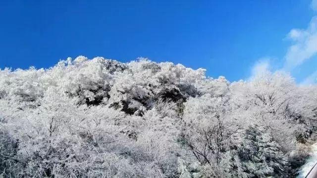 逃脱者2