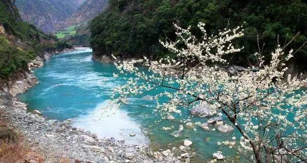泉山区委第一巡察组召开团区委、区妇联、区科协巡察动员会