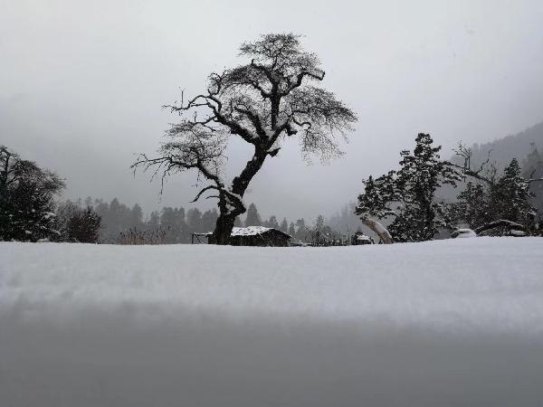 勇士吹泡泡