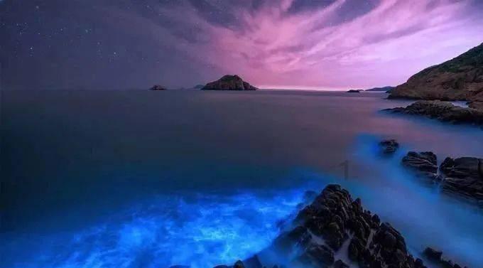 儿童画板涂色