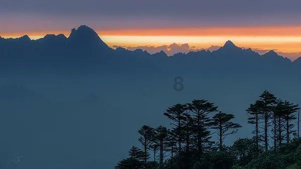逃离粉红岛