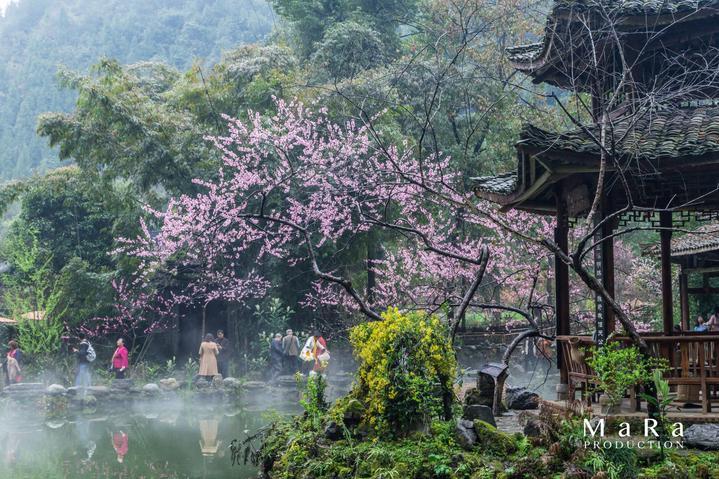 小型的足球赛