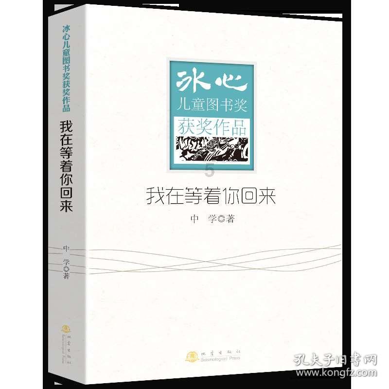 数学男孩
