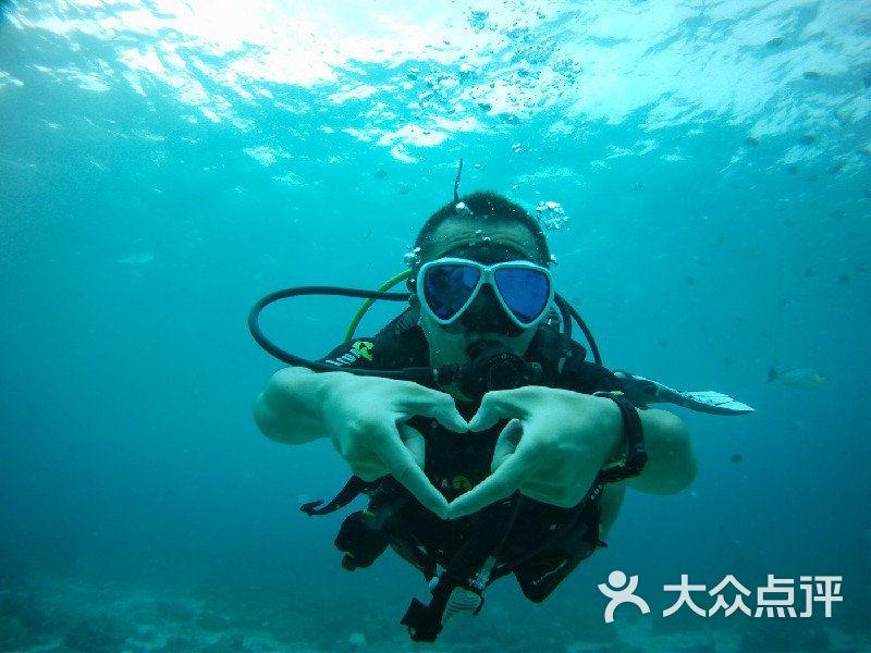 精灵的故事