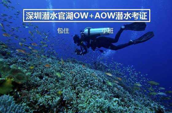 绿洲时评丨做好民生改善“必答题” 让人民群众日子过得更加红火