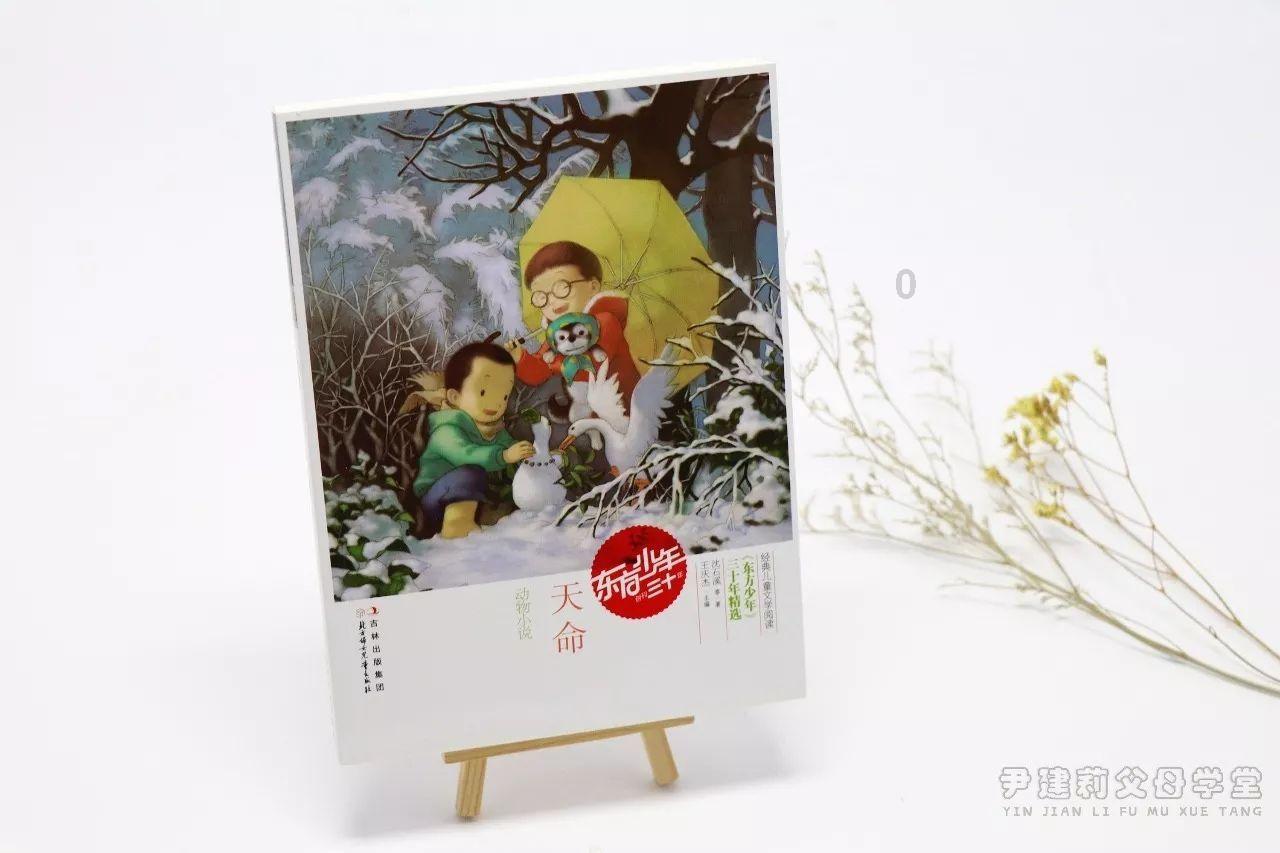 泰迪狗粮品牌排行是怎样的？吃哪款对狗狗好？