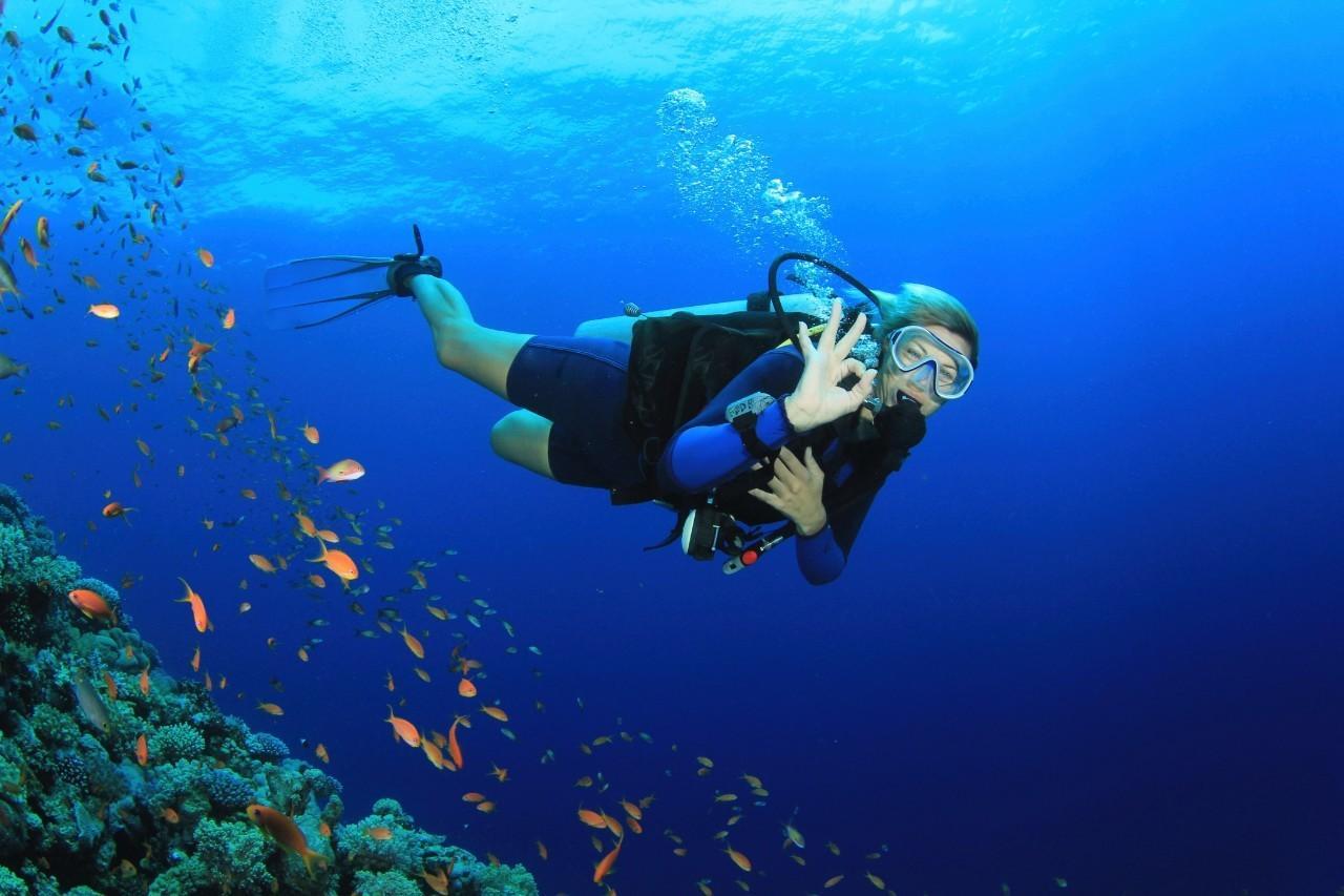 对话发现野居8年流浪汉的深圳快递小哥:志愿服务队已帮助百名流浪者,队员要培训隐私保护