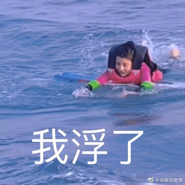 救援小犬立苏