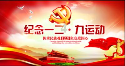 难得一见！雪中早樱更显浪漫