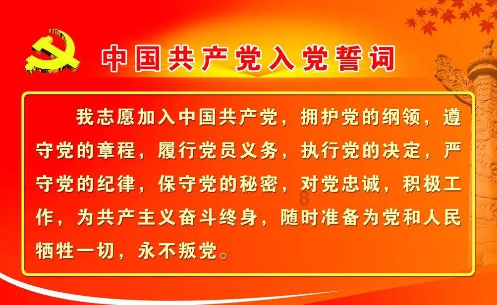 数码宝贝8
