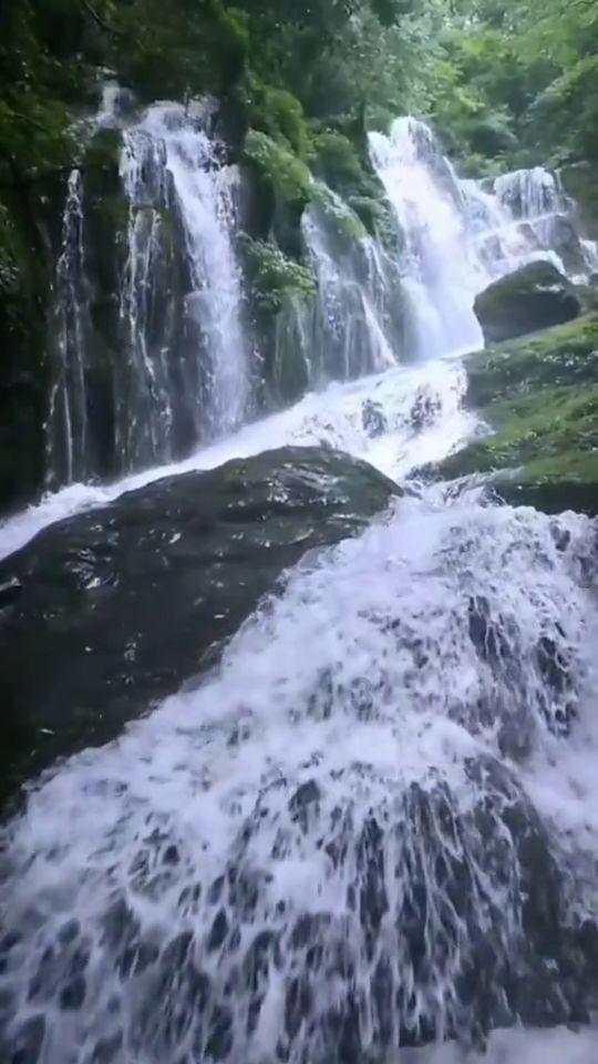 世界杯换装