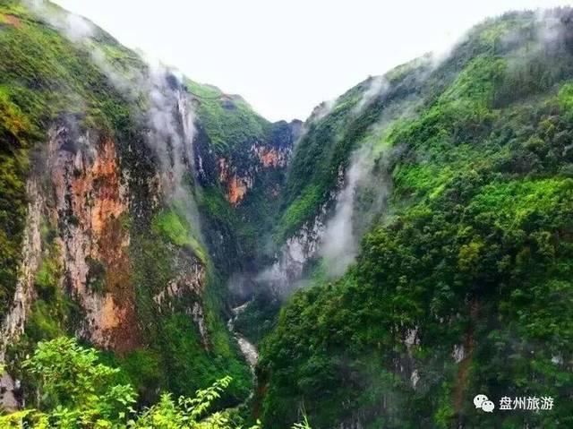 森林的奇迹