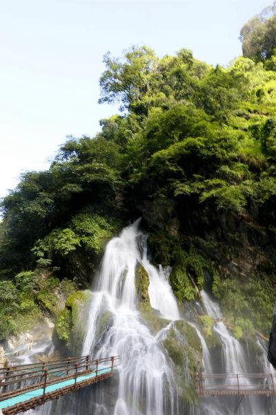 阴暗森林