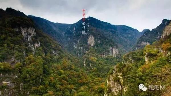 沪江开心词场