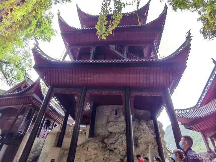 众创英雄圆梦湾区,南粤“双创”再谱新篇!