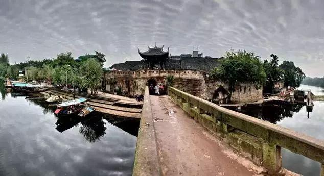 逗小猴开心系列213